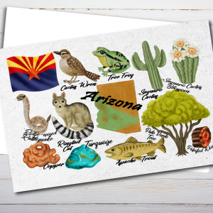 Arizona State Postcard