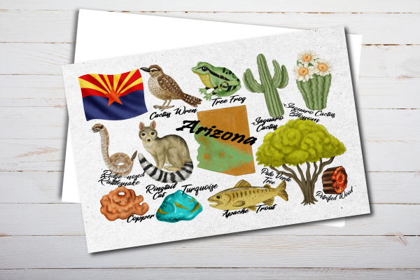 Arizona State Postcard