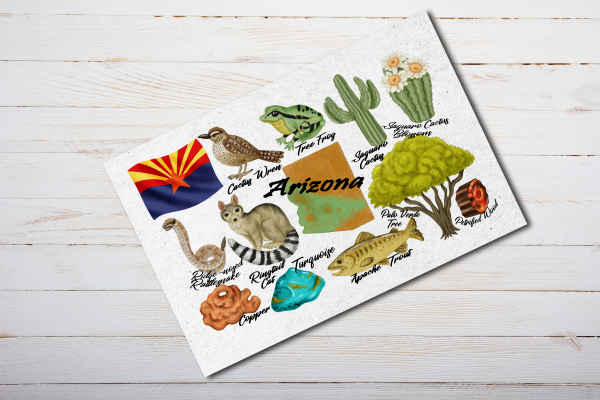 Arizona State Postcard Watercolor