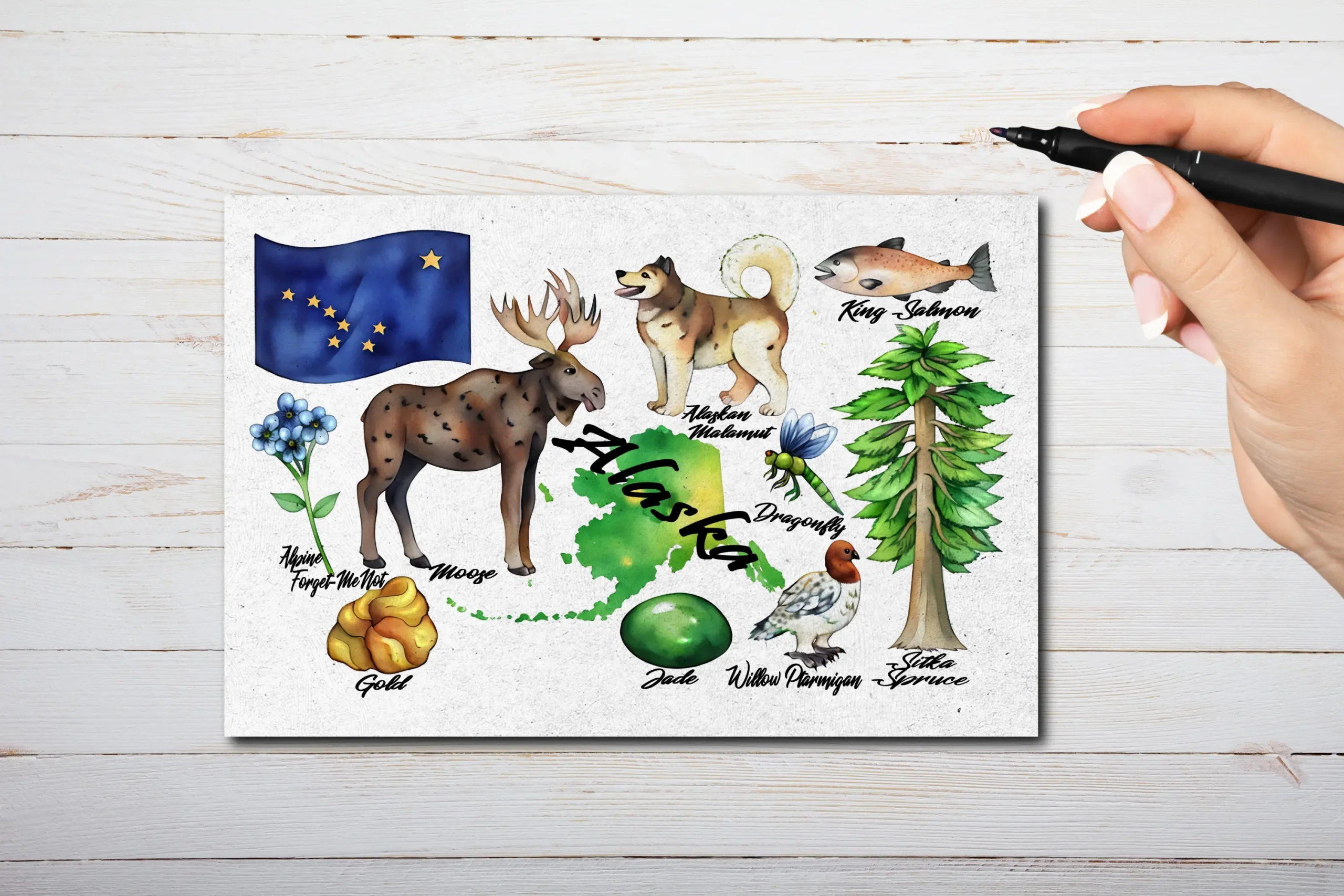 Alaska State Postcard Watercolor