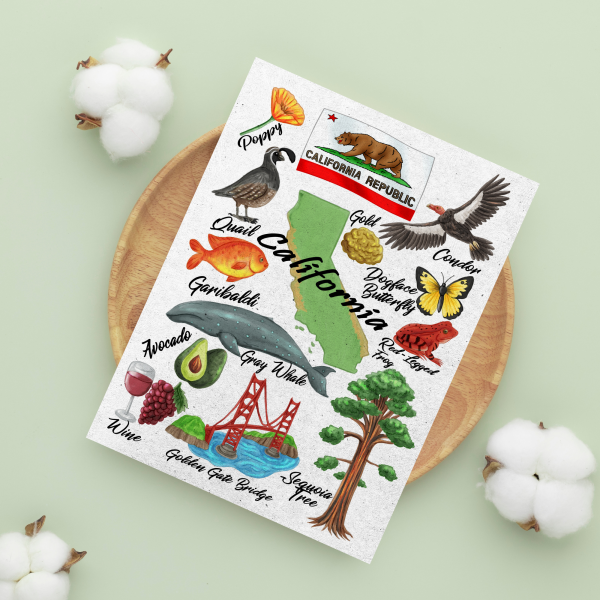 California State Art Print