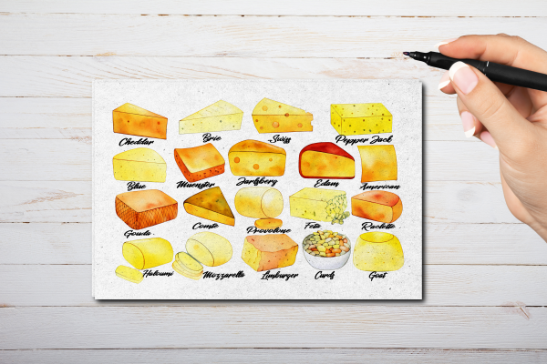 Cheese Postcard