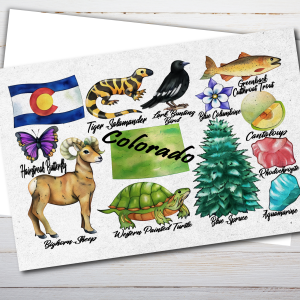 Colorado State Postcard