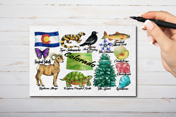 Colorado State Postcard