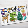 Colorado State Postcard Watercolor - Image 4