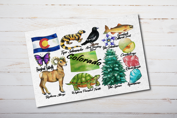 Colorado State Postcard Watercolor - Image 4