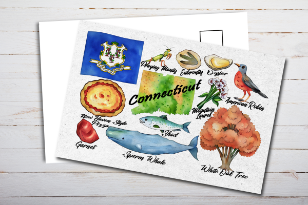 Connecticut State Postcard