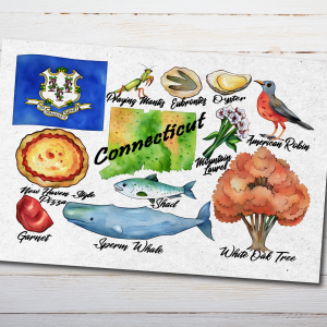 Connecticut State Postcard