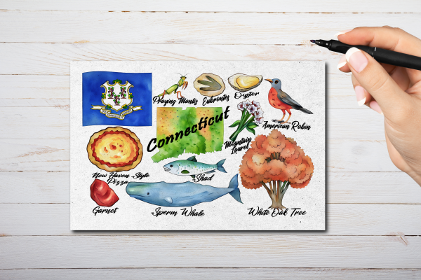 Connecticut State Postcard