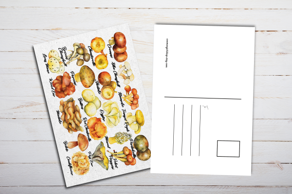 Edible Mushrooms Postcard