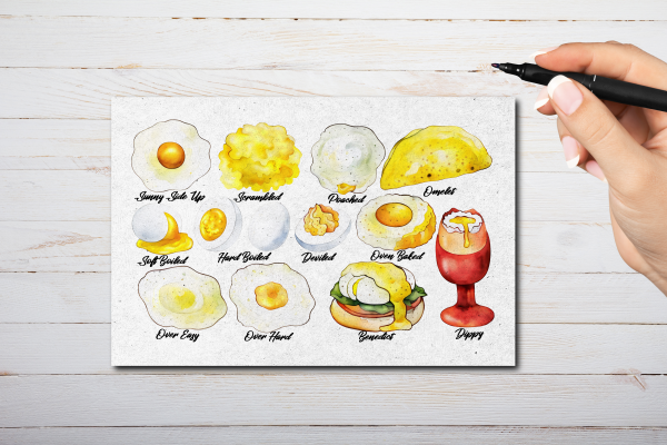 Eggs Postcard