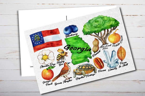 Georgia State Postcard