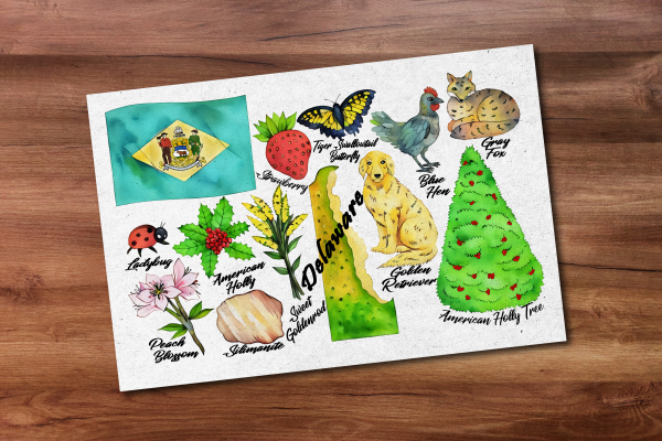 Delaware State Postcard