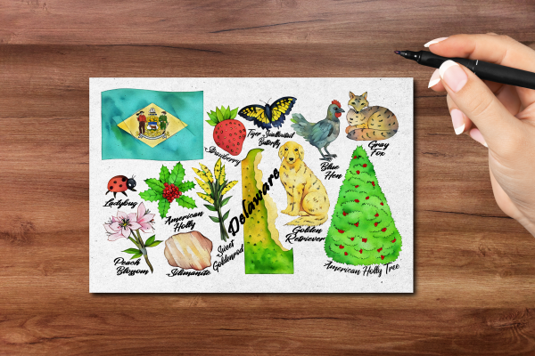 Delaware State Postcard