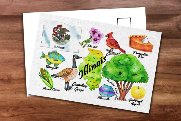 Illinois State Postcard