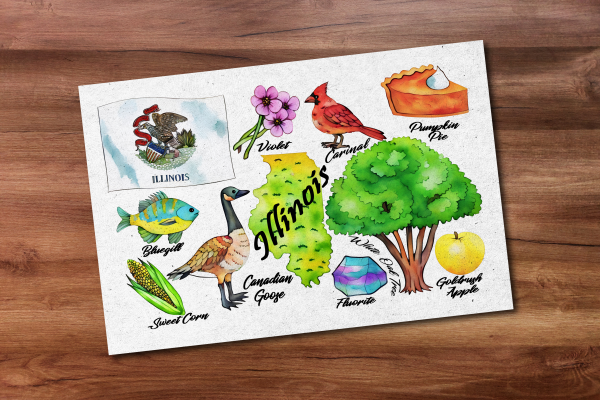 Illinois State Postcard