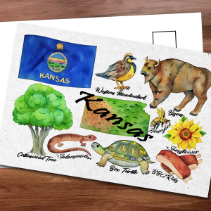 Kansas State Postcard