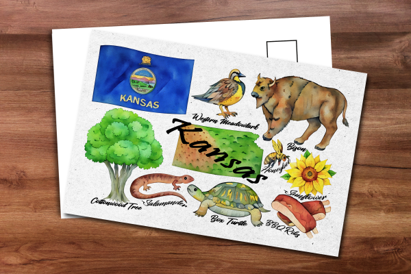 Kansas State Postcard