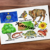 Kansas State Postcard