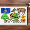 Kansas State Postcard