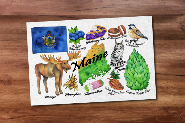 Maine State Postcard