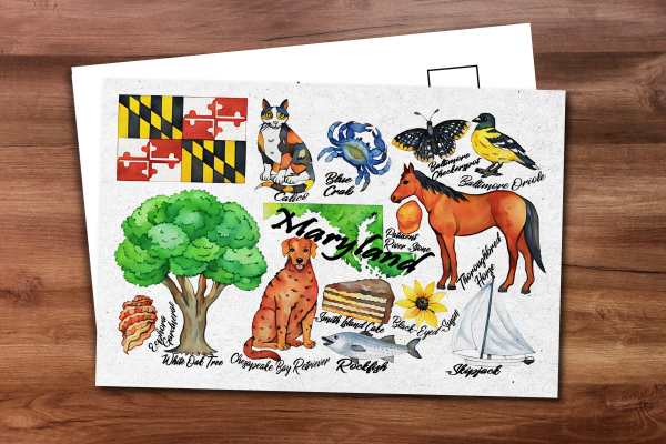 Maryland State Postcard