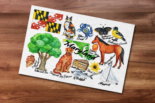 Maryland State Postcard
