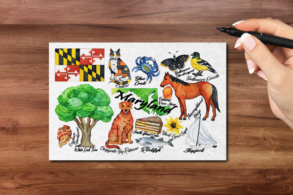 Maryland State Postcard