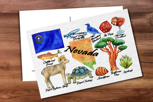 Nevada State Postcard