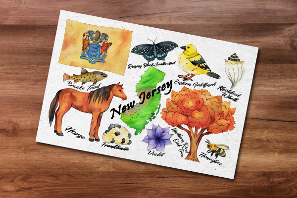 New Jersey State Postcard