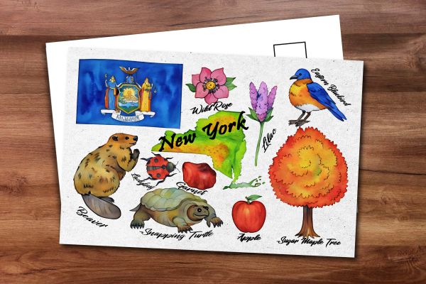 New York State Postcard