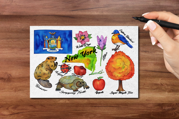 New York State Postcard