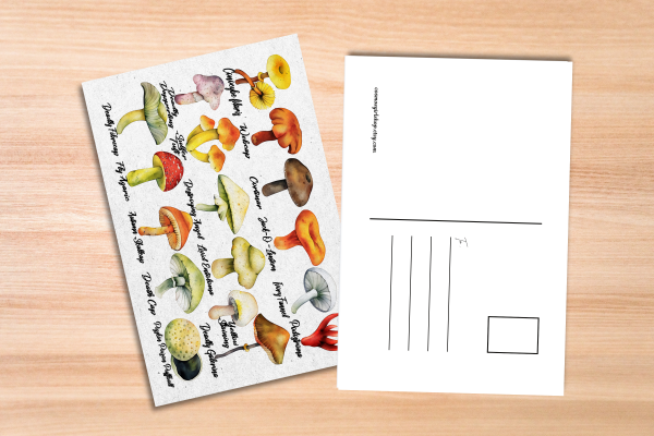 Poisonous Mushrooms Postcard - Image 4