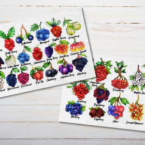 Wild Berries Postcards
