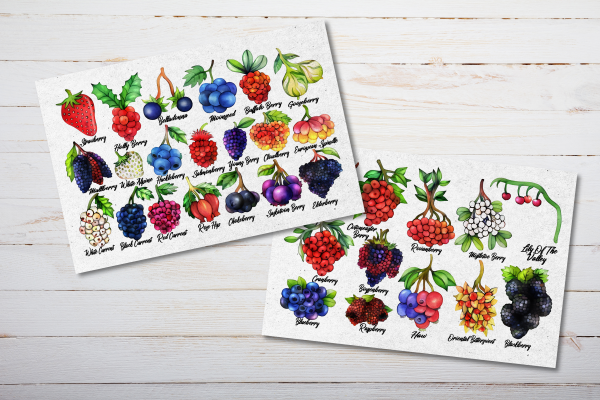 Wild Berries Postcards