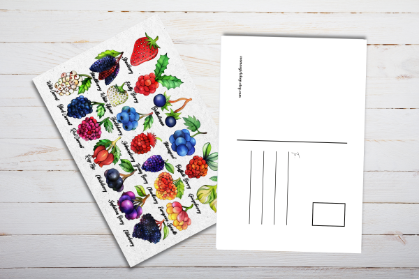 Wild Berries Postcards