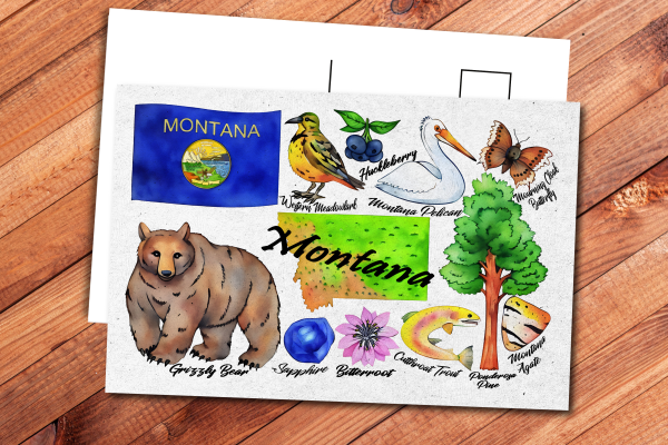 Montana State Postcard