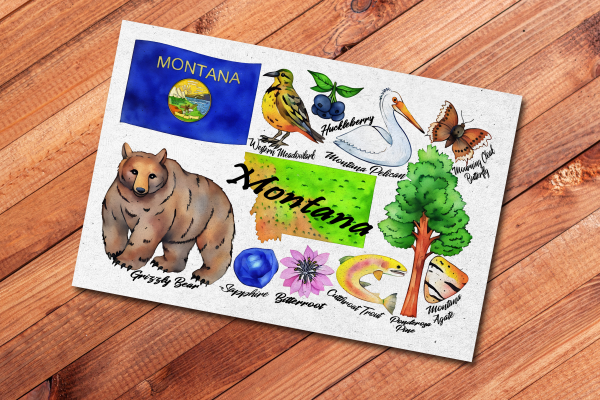 Montana State Postcard