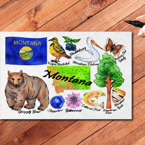 Montana State Postcard