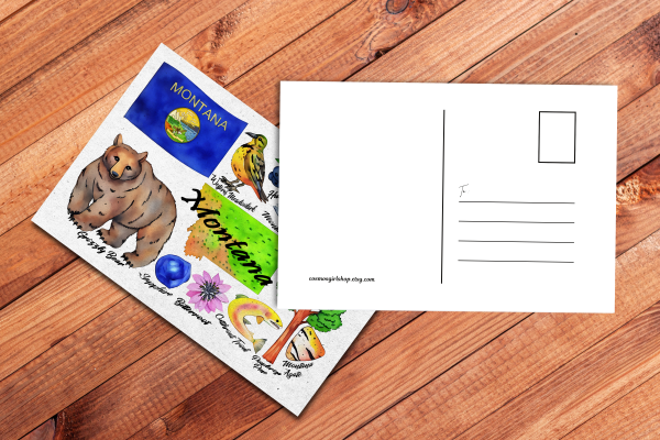 Montana State Postcard