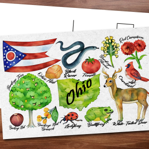 Ohio State Postcard