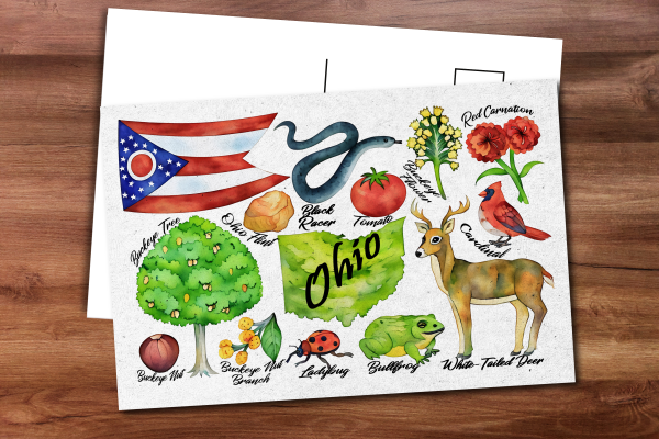 Ohio State Postcard
