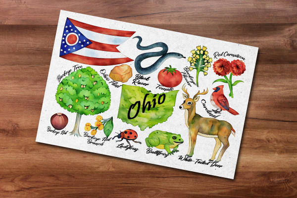 Ohio State Postcard