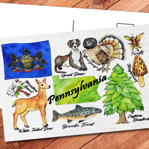 Pennsylvania State Postcard