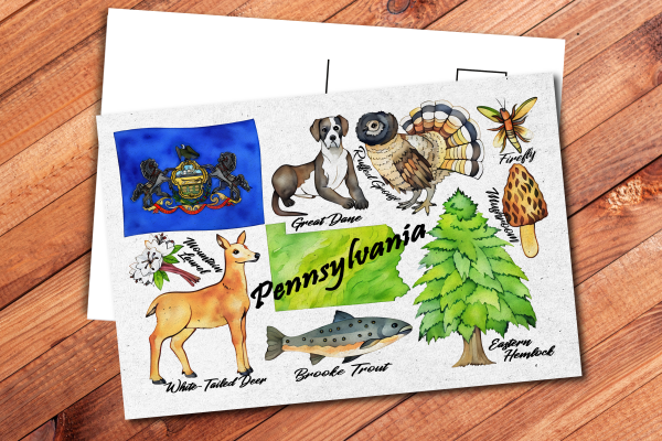 Pennsylvania State Postcard