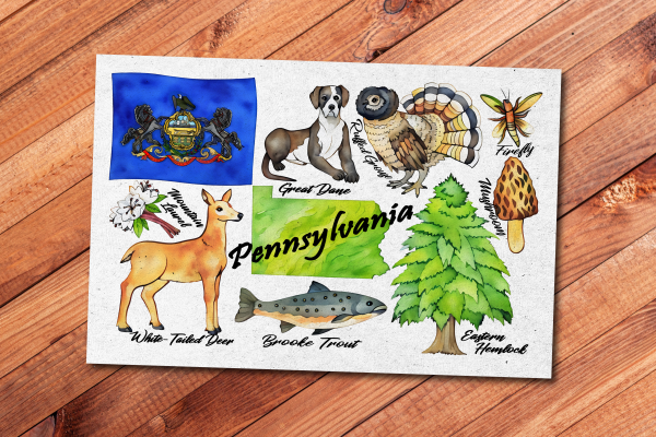 Pennsylvania State Postcard