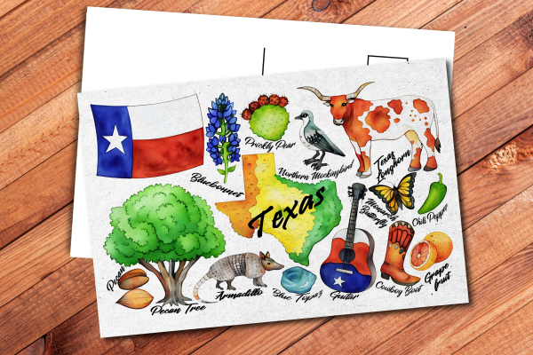 Texas State Postcard