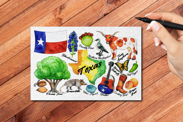 Texas State Postcard