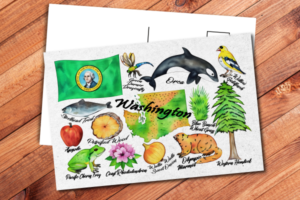 Washington State Postcard