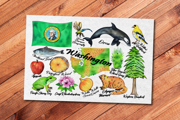 Washington State Postcard